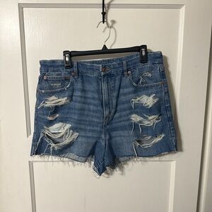 American eagle distressed Blue Denim Shorts